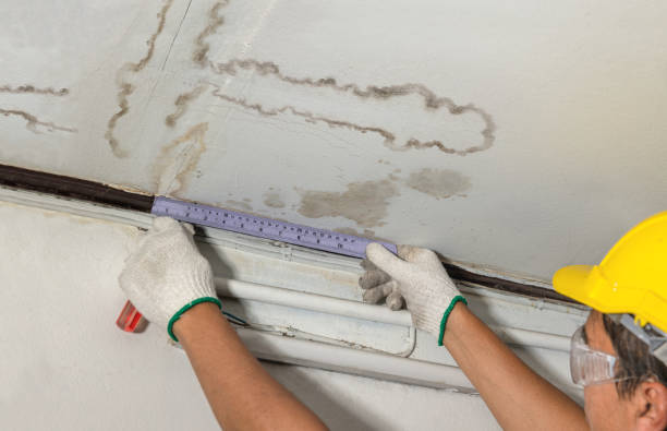 Reliable Burst Pipe Cleanup contractor in Nevada, OH by Water Damage Irwin